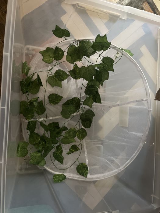 Moskitiera nad łóżko