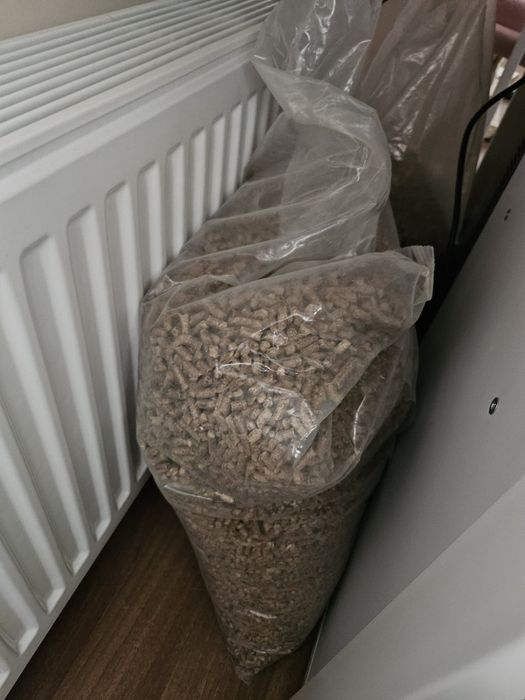 Świnka morska Kawia domowa, królik wyprawka