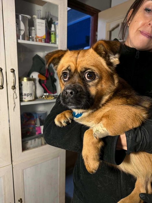 Cudna Trufelka szuka domu