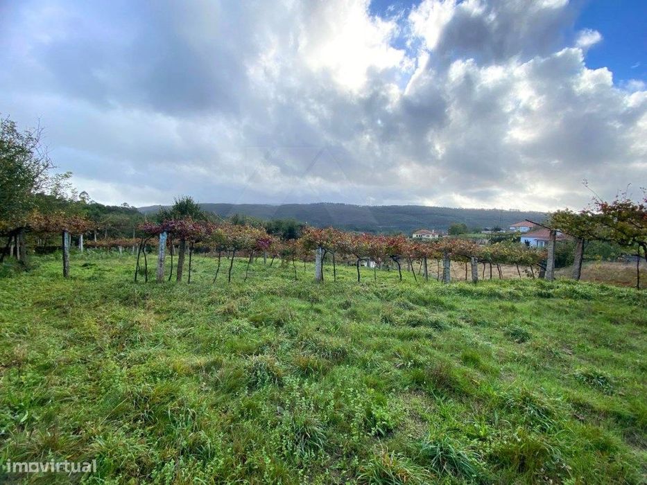Terreno para construção — Coura, Viana do Castelo