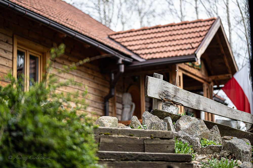 WIOSNA w Górach Izerskich- Teosiowo