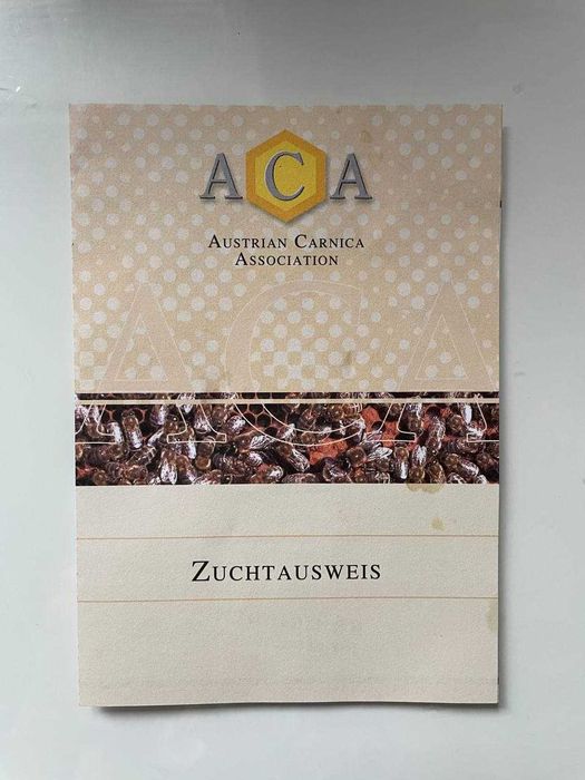 Бджоломатка Карніка Лампрехт ( Lamprecht) австрійський матеріал )