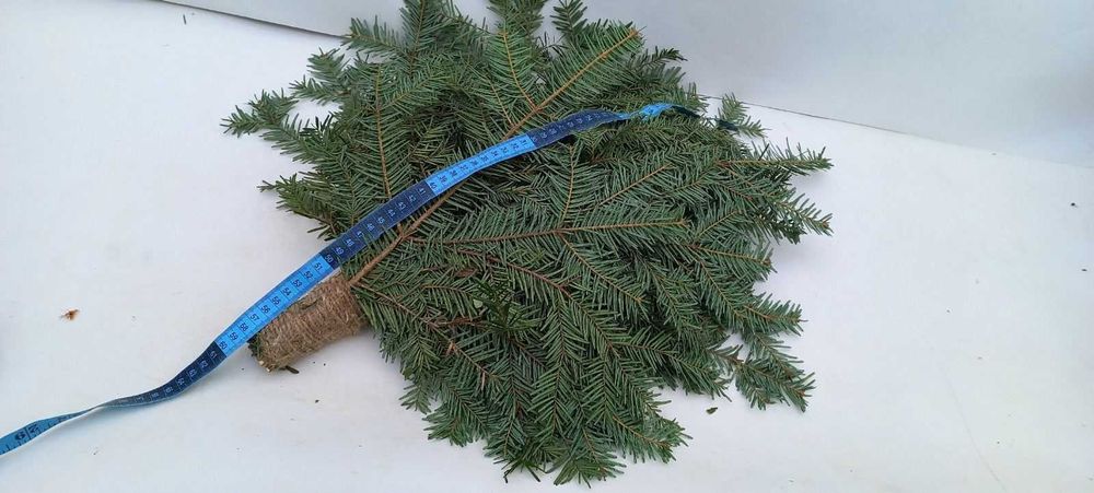 Веники Для Бани Віники для сауни дубові березові липові