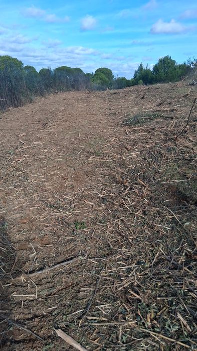 Limpezas de terrenos