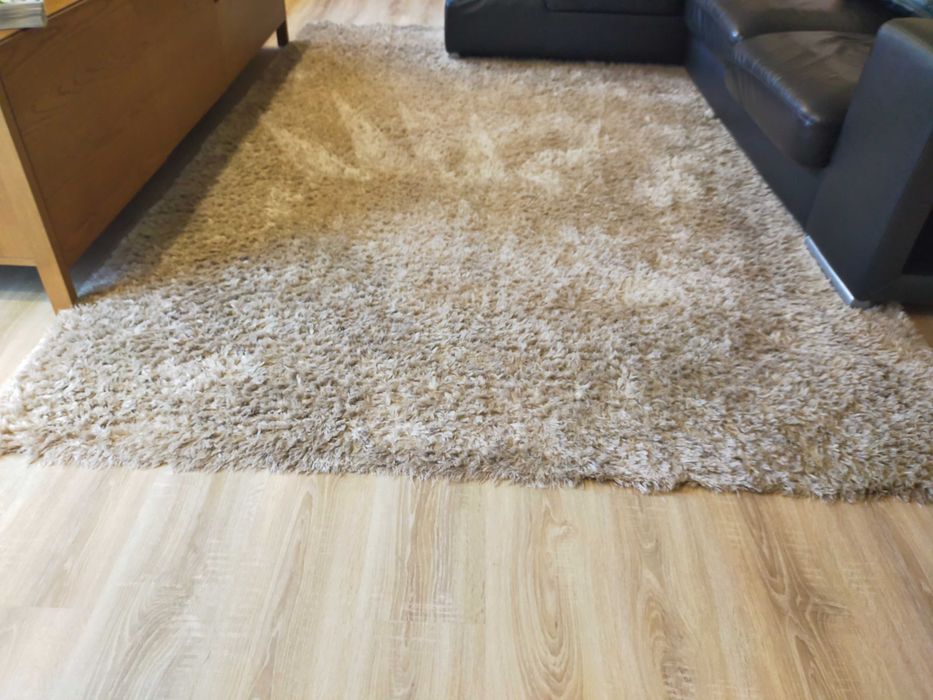 Carpete grande, bege, pelo macio . 2.90*1.95. Zona de Braga