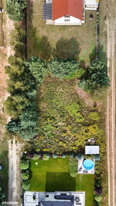 Pęciszów koło Trzebnicy/otoczenie lasów