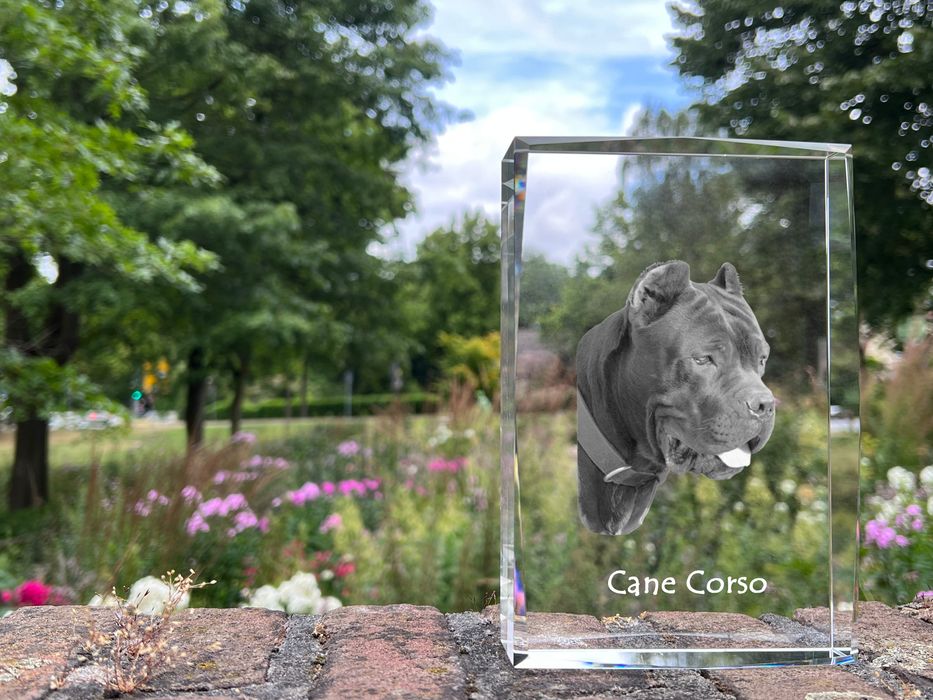 Cane Corso kryształ z psem Art-Dog