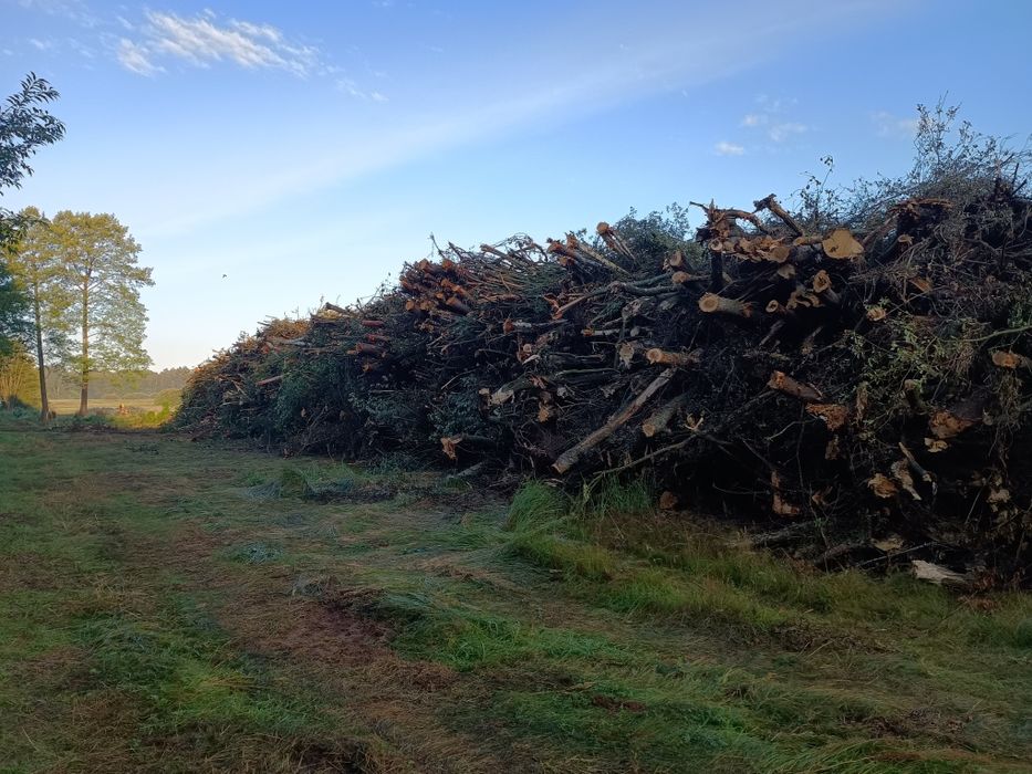 Ścinka drzew mulczer czyszczenie działek samosiewy
