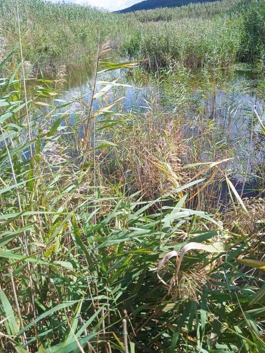 Продаж земельної ділянки неподалік від Івано-Франківська_N