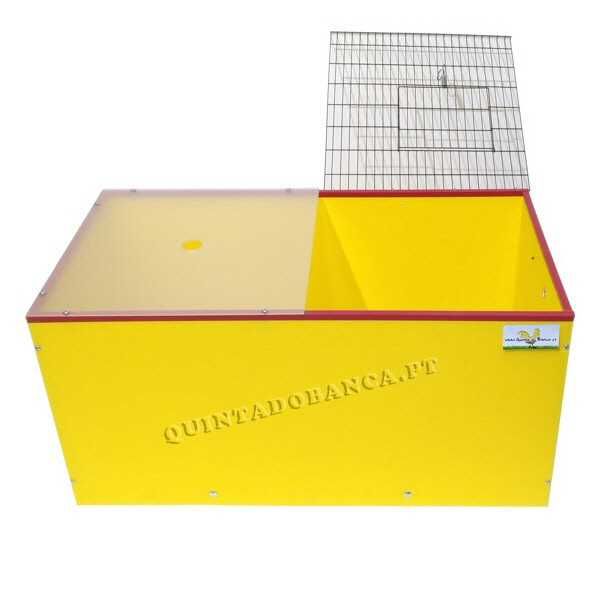 Criadeira Chick Max Simples para Pintos, Codornizes