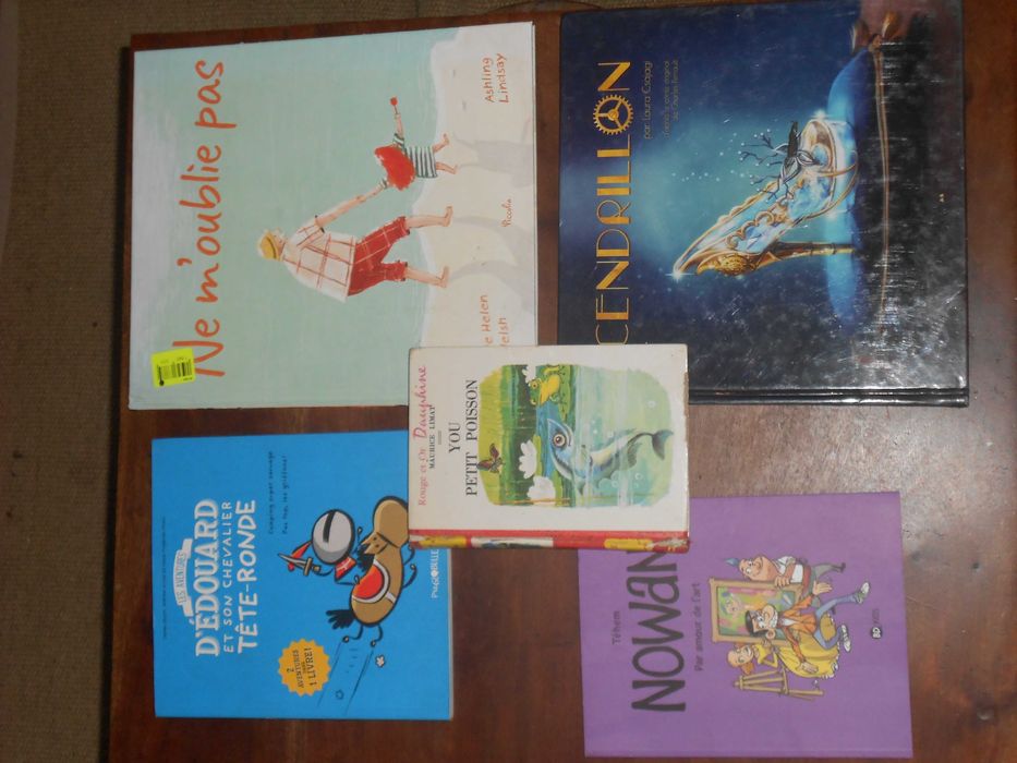 Livros infantis juvenis em lingua francesa BD e outros