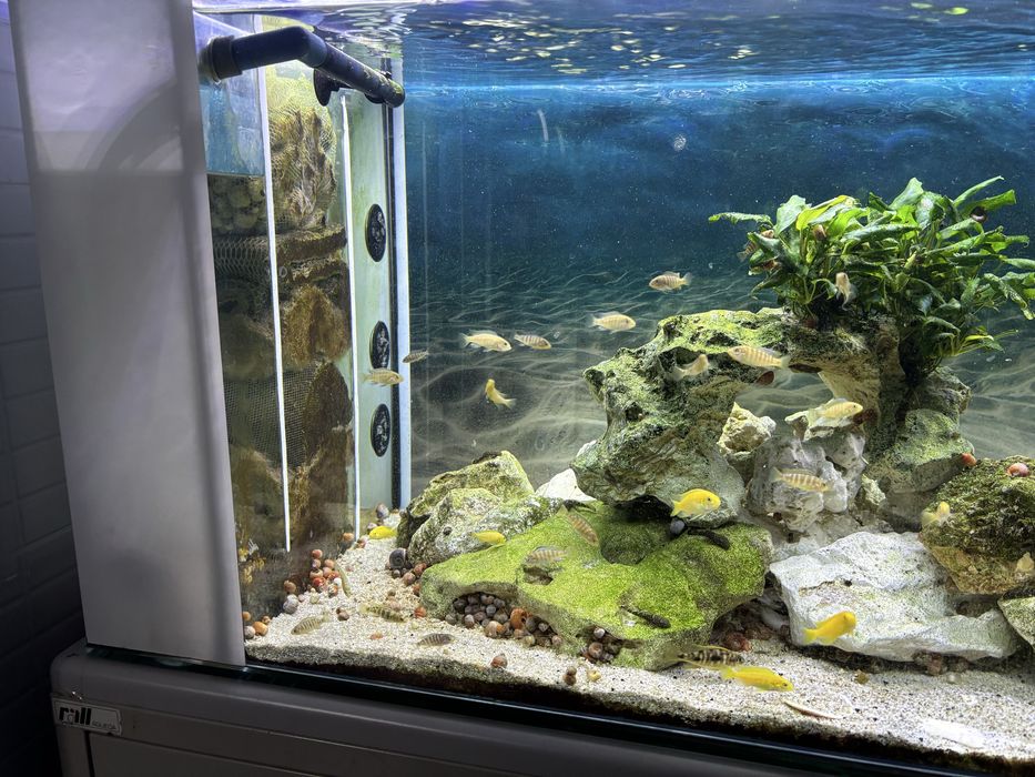Aquario com sump interna