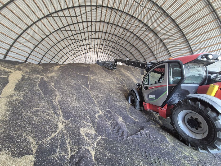 Skup zboża, siew kukurydzy rzepaku owies, pszenica, żyto, wapno, RSM,