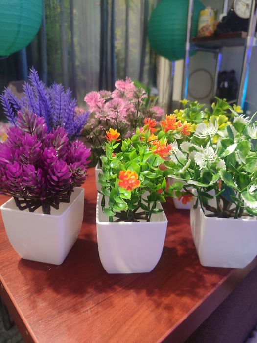 Яскраві штучні рослини . 7 штук.