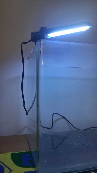 Aquário usado ,51cm x 32 cm x 32xm (50 litros)