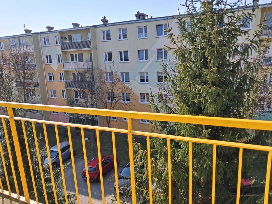Zdjęcie 5