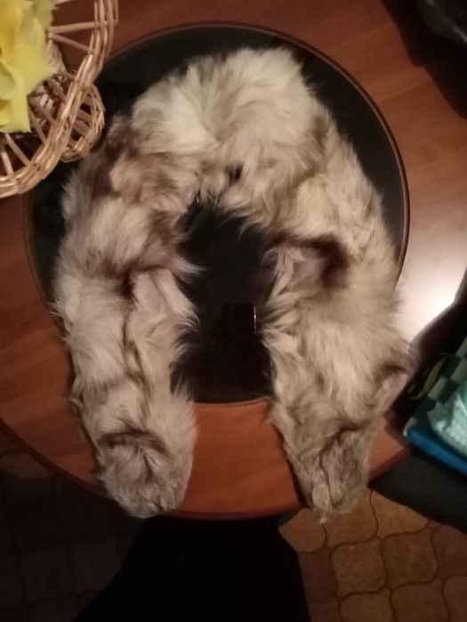 Komplet z lisa z lat 70 PRL