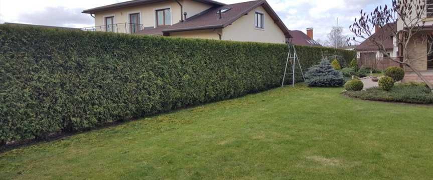 стрижка туй та декоративних рослин, косіння трави, стрижка газону