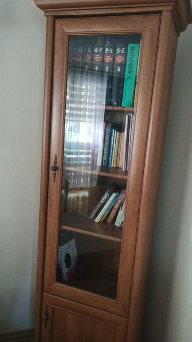 Witryna bez wyposażenia