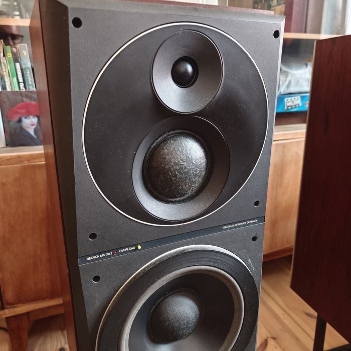 Bang Olufsen Beovox 120.2