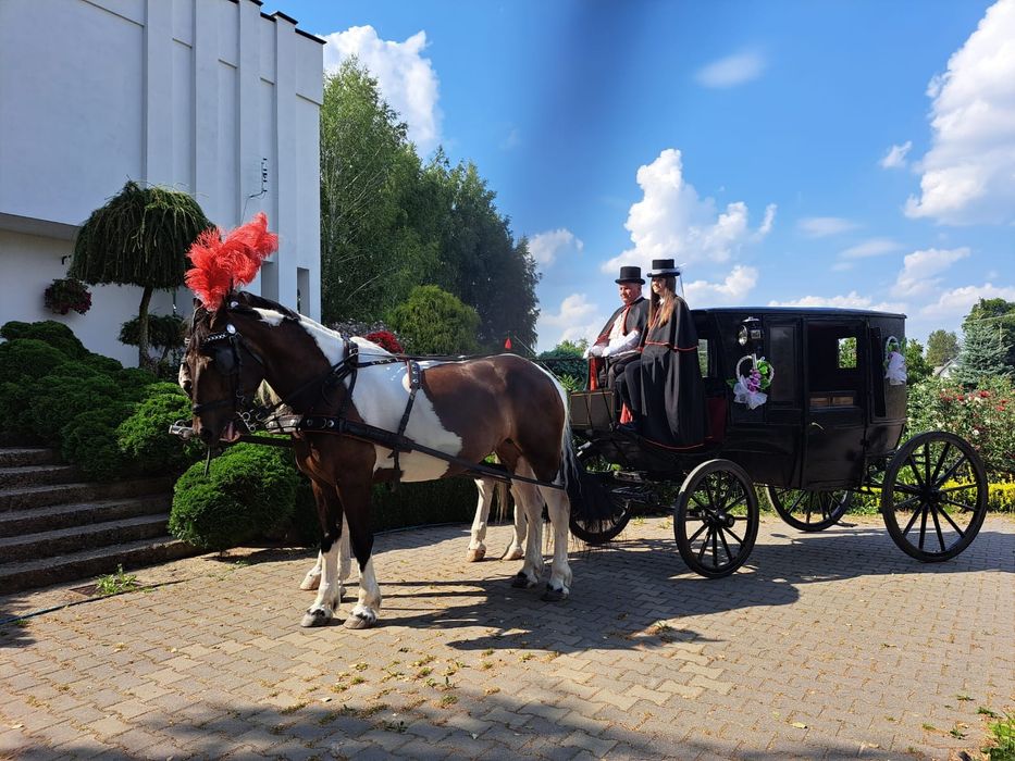 Bryczka do ślubu