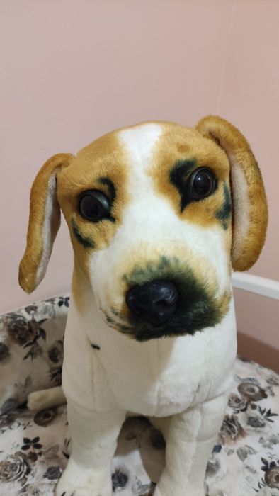 Собака велика м'яка іграшка