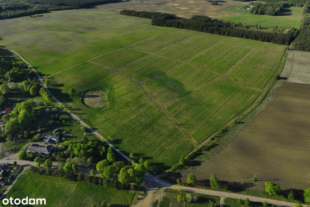 Działka nad Jeziorem Dołgie| las | natura - BUDOWLANA