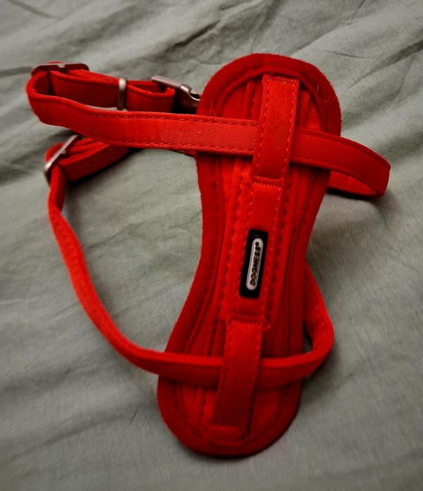 Nowe szelki XS. Dogness