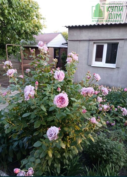 Продається Прекрасний будинок