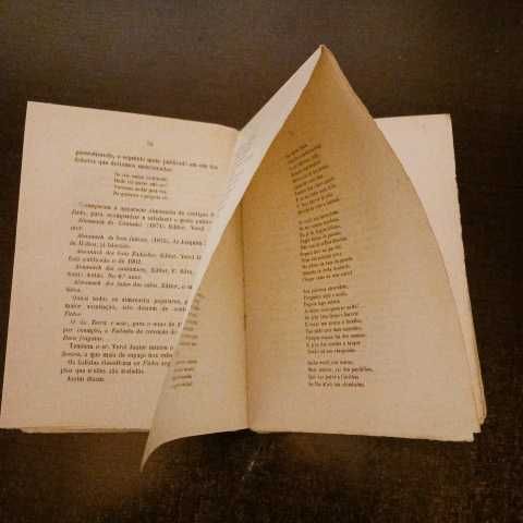 A Triste Canção do Sul (original livro raro)