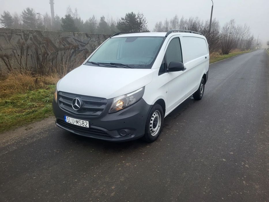 Sommer Vito  Sprowadzony z Niemiec od pierwszego właściciela