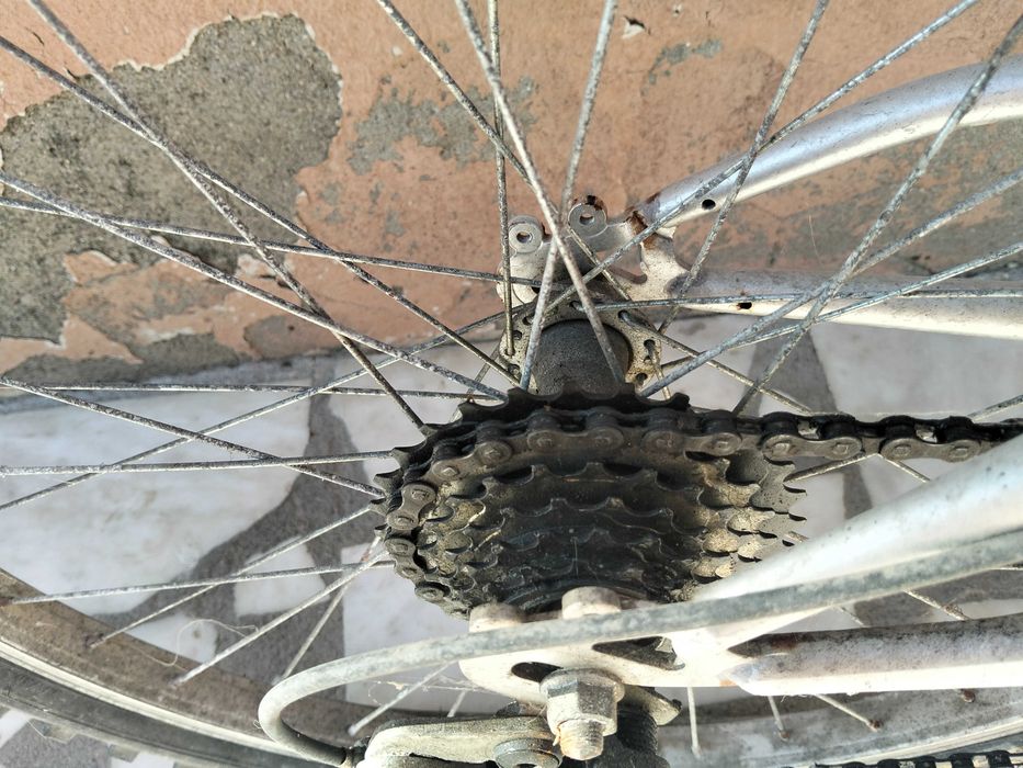 Bicicleta Team Spirit DS350