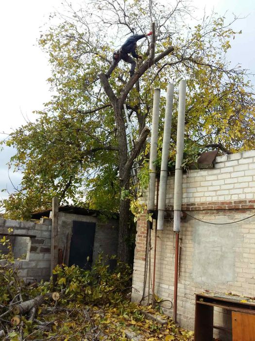 Спил деревьев любой сложности