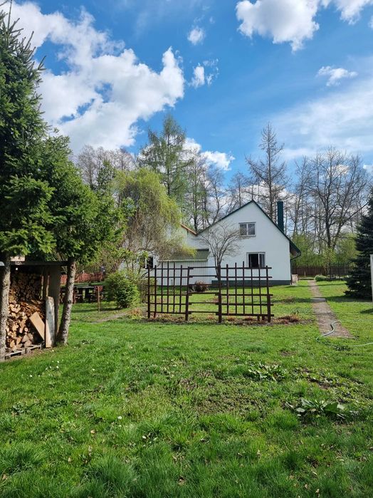 Dwie działki ROD z domkami, Podgórki Tynieckie