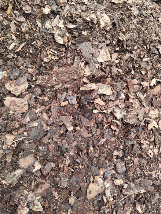 Кора сосновая мульча