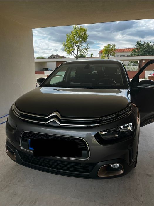 Citroen C4 Cactus Origins