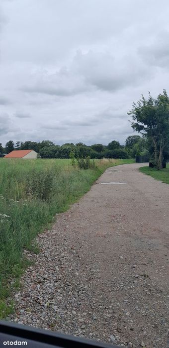 Zdjęcie 7