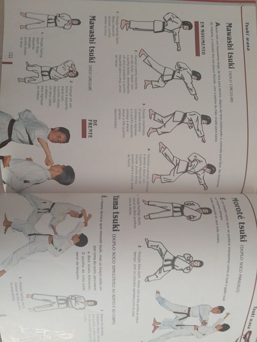 Livro educacional O Karaté