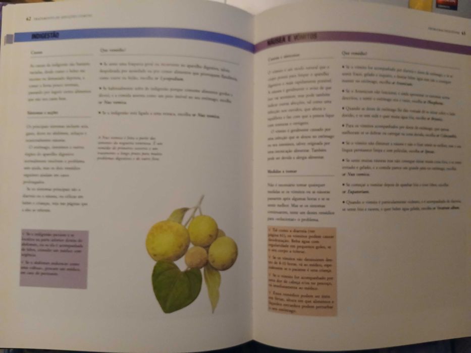 'Homeopatia, guia prático de cuidados de saúde diários', de Robin Hayfield