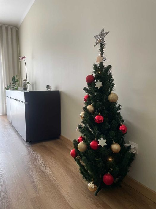 Pinheiro de Natal