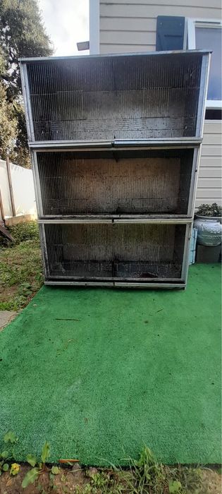 viveiro para passaros