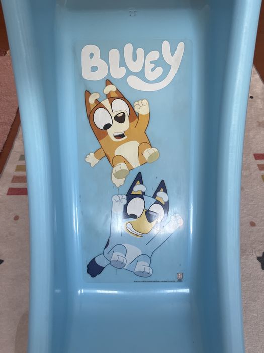 Escorrega Feber Bluey