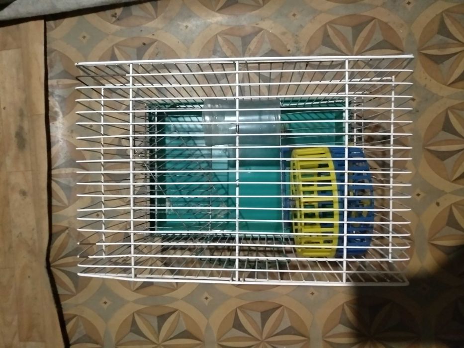 Клітка Природа для дрібних декоративних гризунів 31x35x22 см