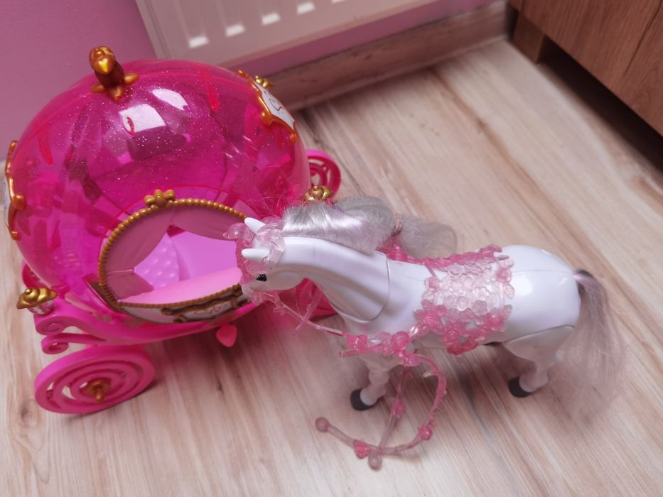 Karoca, kareta z koniem