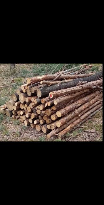 Tanie drewno opałowe sosna gubin okolice