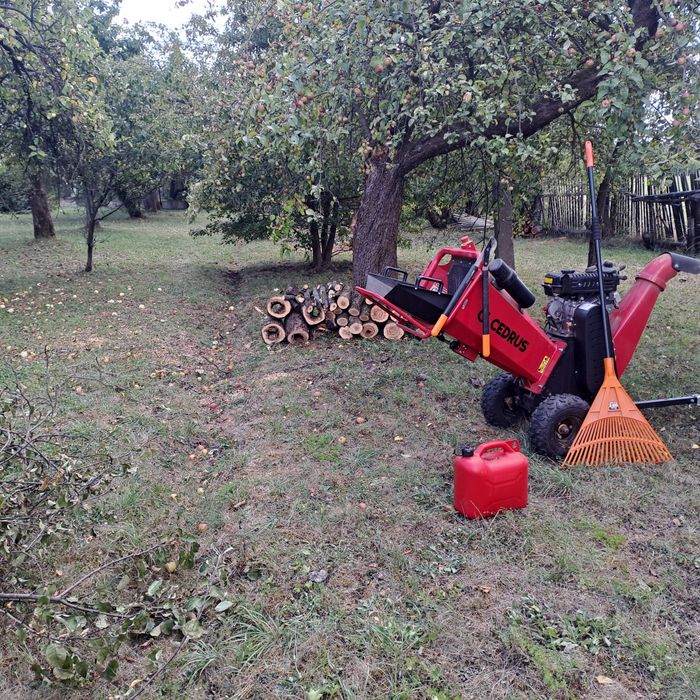 Rębakowanie czyszczenie działek