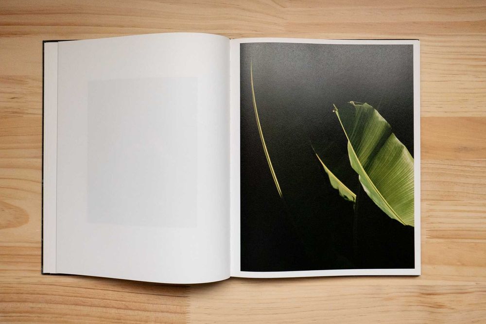 Fotolivro "Fluvial" de Tito Mouraz, Dewi Lewis, 2019