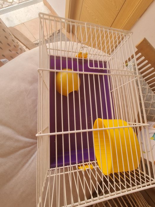 Gaiola Nova Hamster63824714159491122