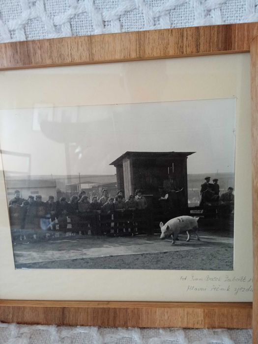Lokomobila ,Žabciče 1958 stare fotografie