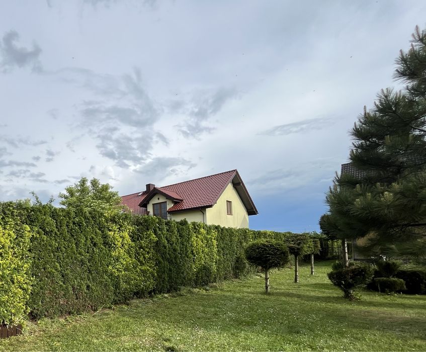 Wycinka drzew/ Pielęgnacja ogrodów/Mulczerowanie i Koszenie działek